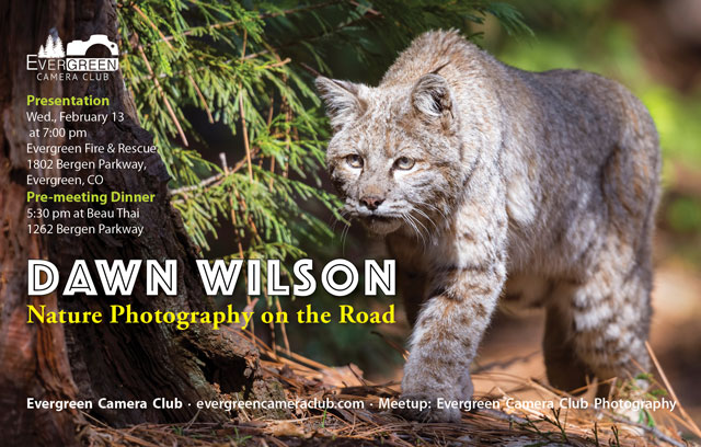 Dawn Wilson: Nature Photography on the Road