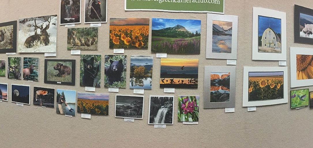 Re-Scheduled Mounting Photos for Library Display