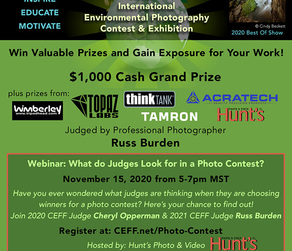 What Do Judges Look For in a Photo Contest?