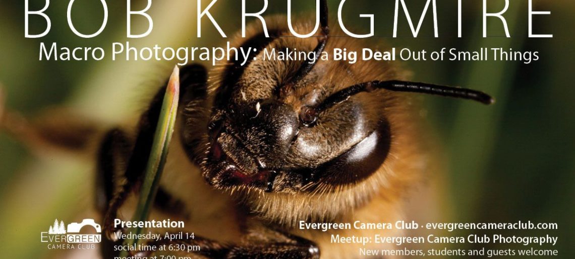 Macro Photography: Making a Big Deal Out of Small Things with BOB KRUGMIRE