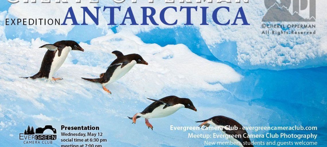 May 12th General Meeting: Expedition Antarctica with CHERYL OPPERMAN