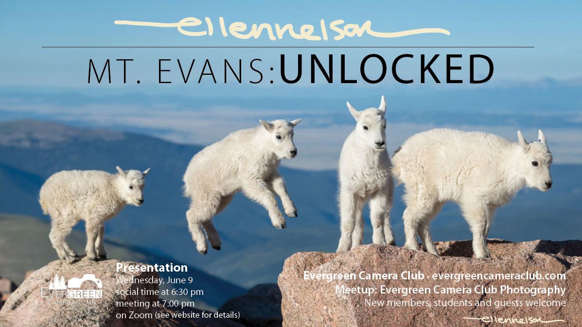 June 9th General Meeting: Mt. Evans Unlocked with Ellen Nelson