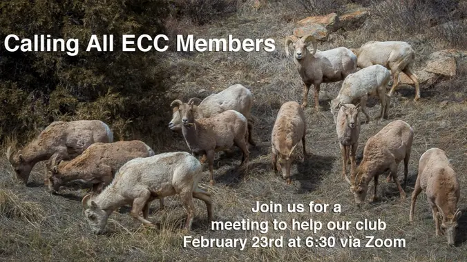 February 23rd Special Meeting: Calling All ECC Members