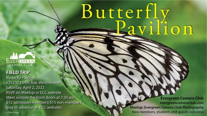 April 2nd Field Trip: The Butterfly Pavilion