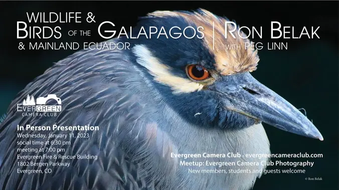 January 11th Meeting: Wildlife and Birds of the Galapagos – Ron Belak & Peg Linn