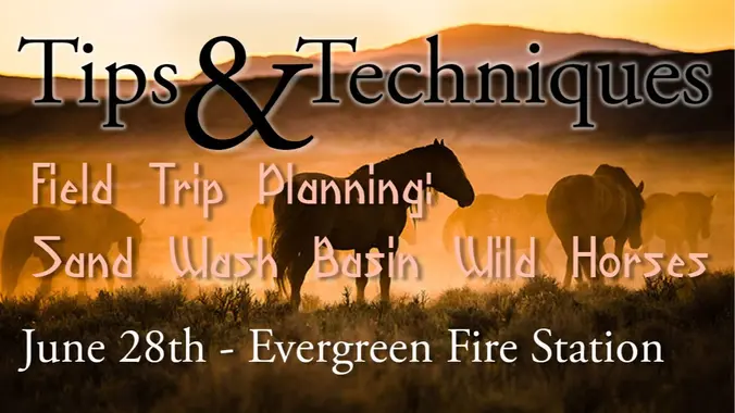 June 2023 T&T: Sand Wash Basin Wild Horses Field Trip – Info and Planning