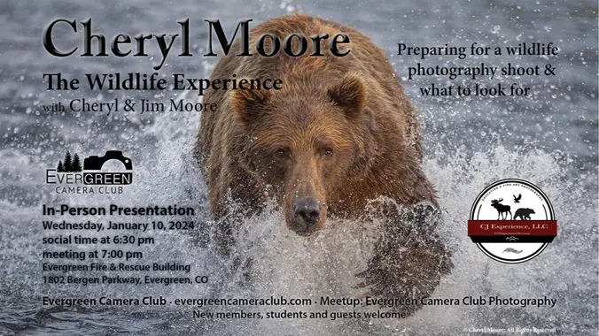 January 10th General Meeting: Wildlife Photography with Cheryl and Jim Moore