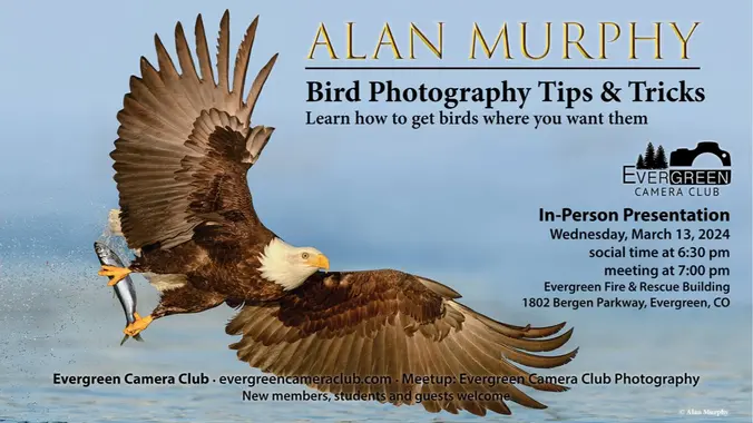 March 13th General Meeting: Bird Photography with Alan Murphy