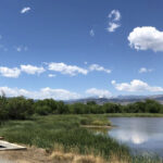 Walden Ponds and Wildlife Refuge in Boulder