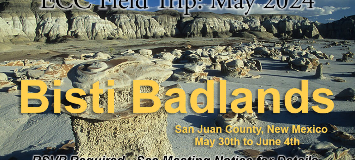 Field Trip: Join us at Bisti Badlands/De-na-zin Wilderness