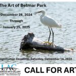 Lakewood Arts Call for Art: The Art of Belmar Park