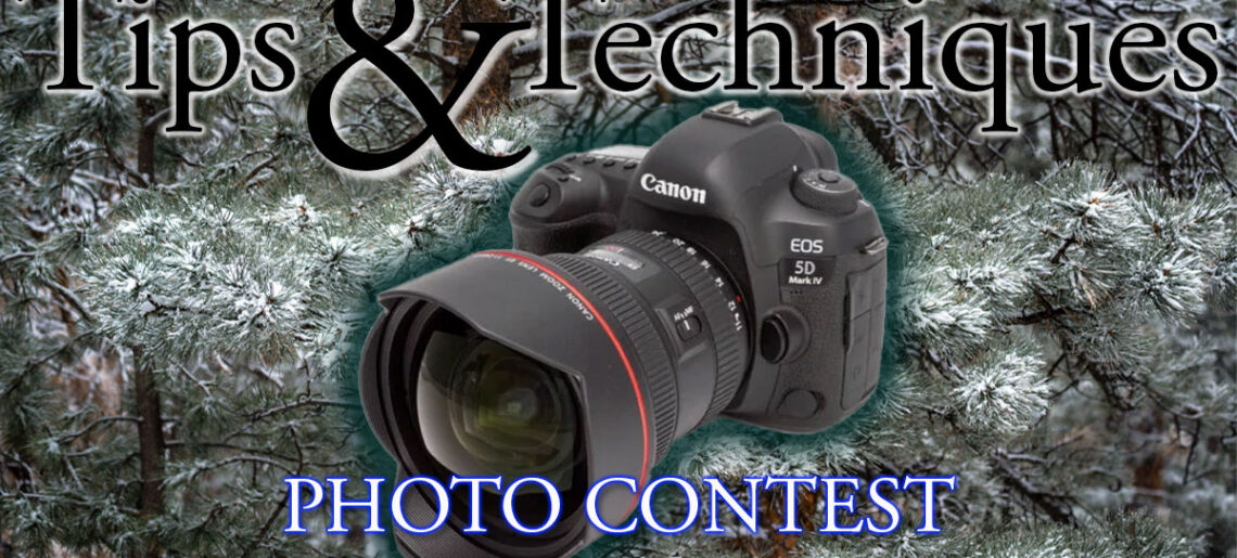 Monthly Contest Themes for 2026 Announced