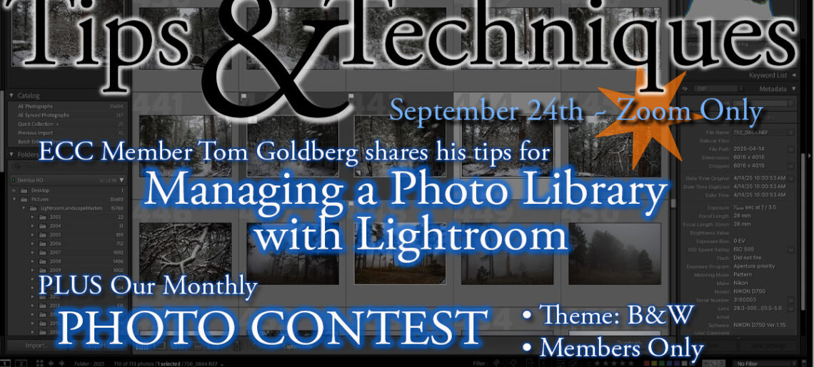 September T&T: Managing your photos PLUS Monthly Contest
