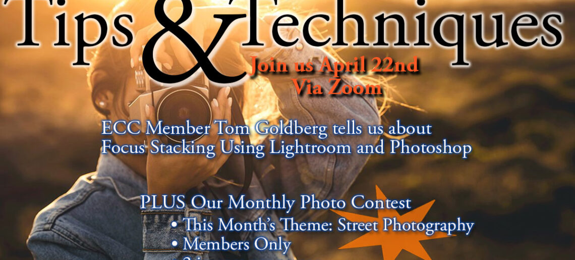 April 22nd Tips & Techniques: Focus Stacking with Tom Goldberg PLUS Monthly Contest