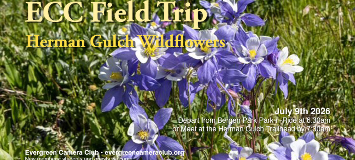 July 9th Field Trip: Herman Gulch Wildflower Hike with Penny Mohr