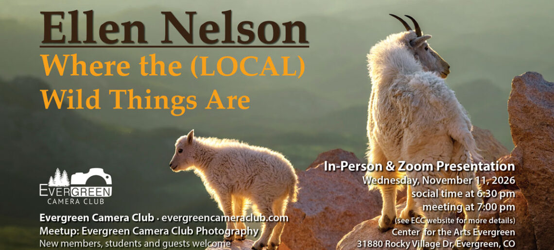 November 11th 2026 General Meeting: Where the (LOCAL) Wild Things Are with Ellen Nelson